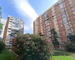 Pis a Pilar. Oportunidad en zona la vaguada 3 dormitorios, exterior y con pos