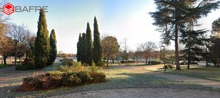 Location Local commercial  Paseo de las acacias