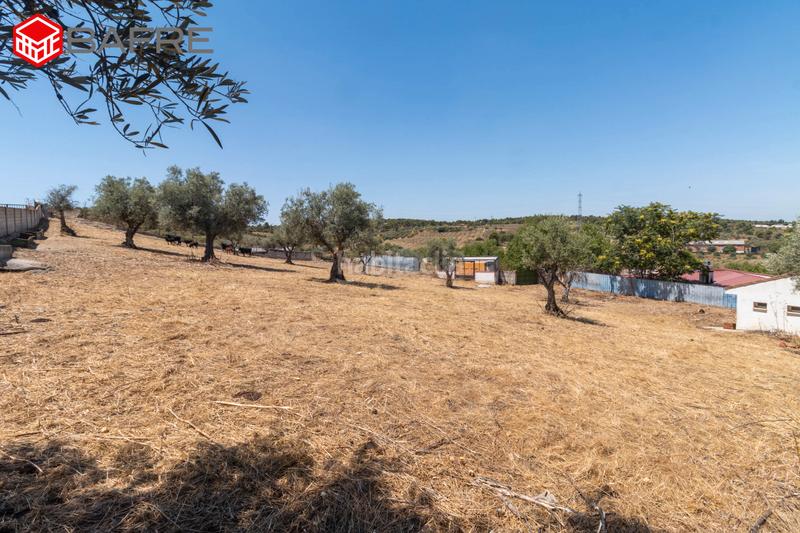 Foto fdaee12b-45d1-43fb-8b13-756a5c04bbba. Casa a Perlita Arganda del Rey