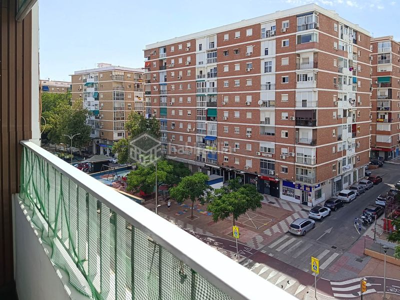 Foto f06b0152-a0e2-48c4-9c7f-139f617ae69f. Pis a Parque Victoria Eugenia Málaga