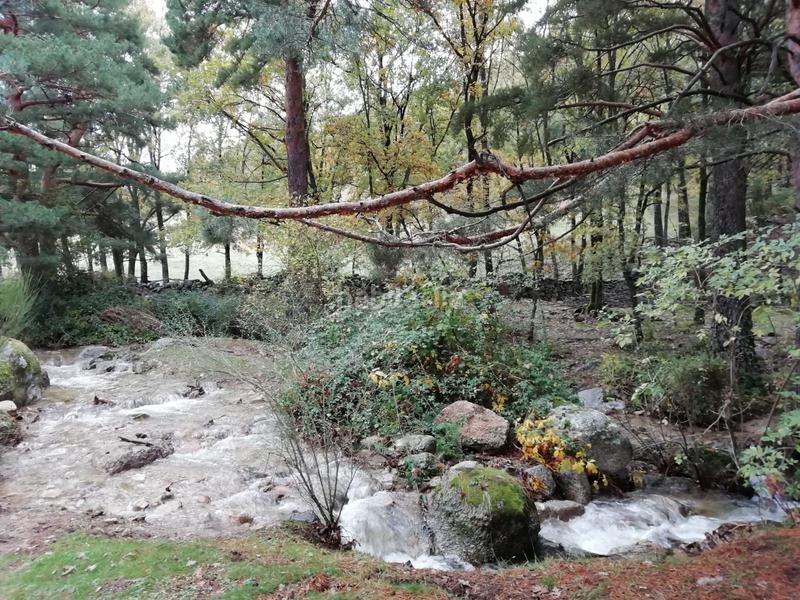 Foto 8cb05037-ff98-410d-84ab-c8dd9ab9f148. Alquiler apartamento en Cercedilla