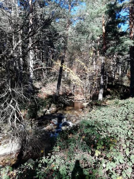 Foto d31a81e4-7530-427e-b3d8-510caf02fec0. Alquiler apartamento en Cercedilla