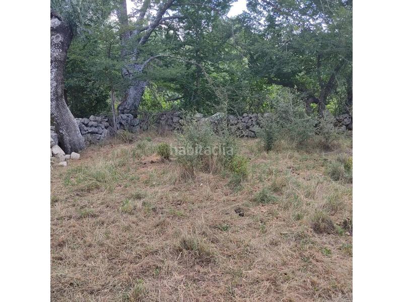 Foto e948b458-4f23-4fc7-8e23-d5c0b3bb6107. Terrain résidentiel dans Berrueco (El)