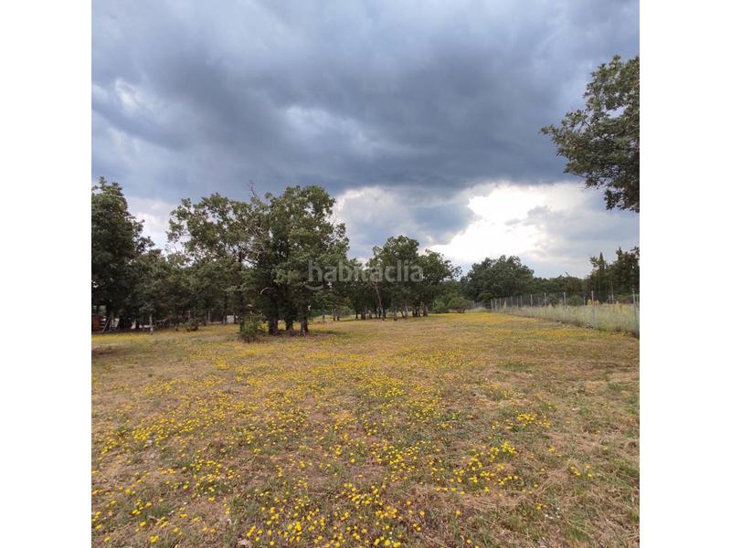 Foto ab4b7f41-4f22-4381-aaf1-78f09b01ae4d. Terreno residenziale in Villavieja del Lozoya