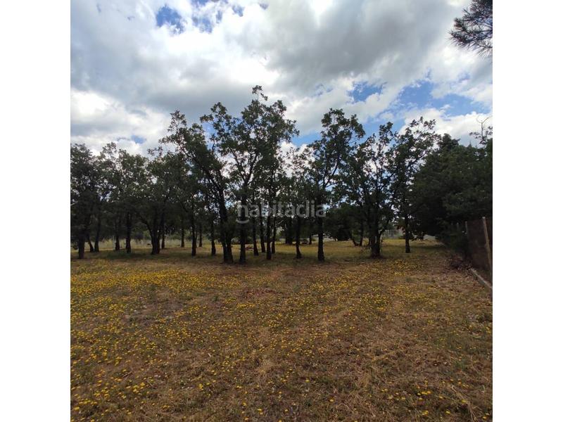 Foto c3c4459e-a812-476d-b357-238133dc9693. Terreno residenziale in Villavieja del Lozoya