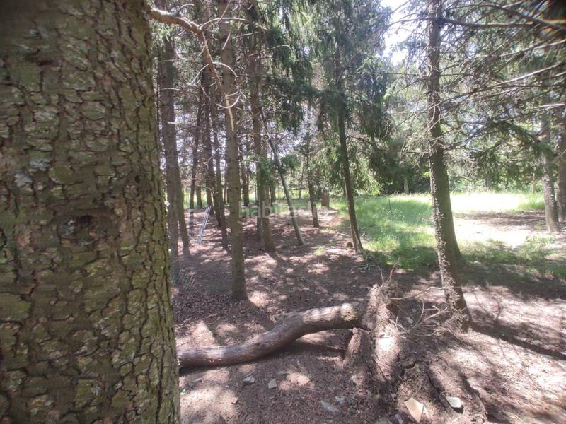 Foto 9787dc7d-4d02-42b8-9404-526e844b953a. House with parking in Piñuécar