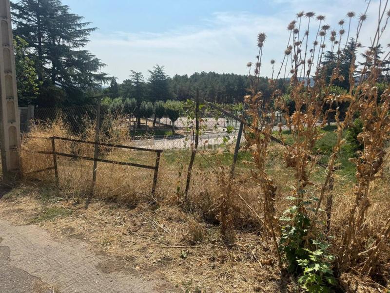 Foto ef8ec630-dcf8-4541-a94b-ab156a1cb5b7. Terrain résidentiel dans doctor bernardo barrios 7 dans Buitrago del Lozoya