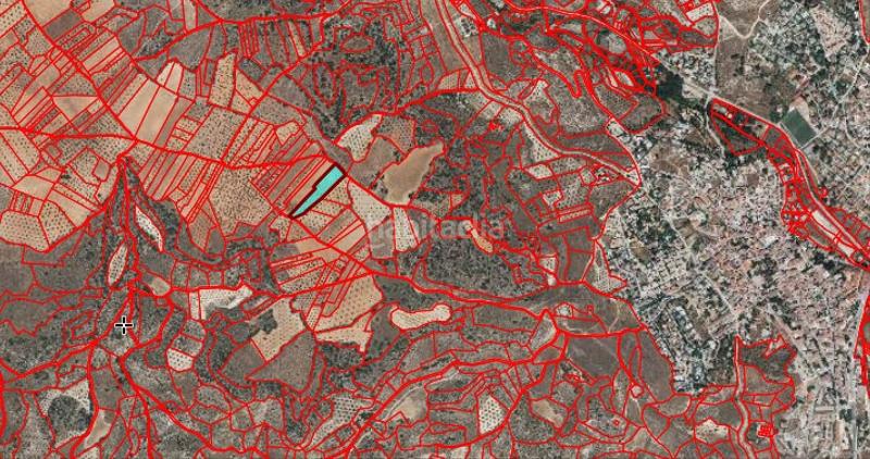 Foto dd079c4c-03a2-4905-b6f8-28e36c9825d8. Fondo rustico in Carabaña