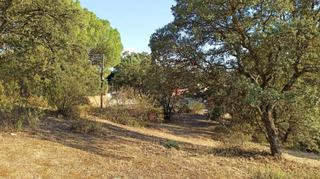 Terreny residencial en Calle canario 46