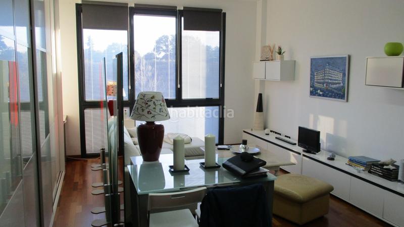 Foto 0e5bf513-45c1-4cdc-a835-1885482270dd. Affitto monolocale in calle pollensa 11 in El Pinar-Punta Galea Rozas de Madrid (Las)