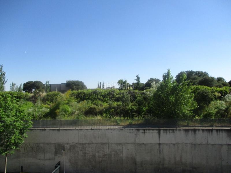 Foto 808d3a46-96fa-48e7-a707-a597b1f1bbef. Rent studio in calle pollensa 11 in El Pinar-Punta Galea Rozas de Madrid (Las)