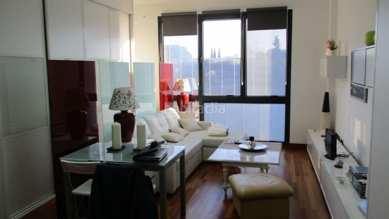 Foto afd4b06e-ffeb-4084-bd9d-b8f71008e3b9. Rent studio in calle pollensa 11 in El Pinar-Punta Galea Rozas de Madrid (Las)