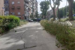 Aparcament cotxe  Calle maldonado. Si necesitas una plaza de garaje en la zona no dudes en contacta