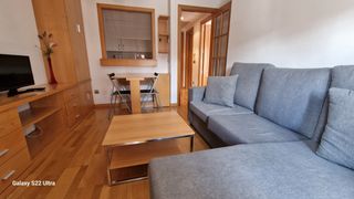 Miete Appartement in Calle de samaniego 12. Precioso apartamento totalmente  amueblado y  equipado