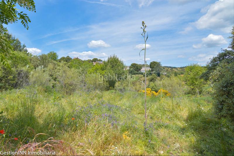 Foto 75c455ba-17f4-4352-9bed-68e0d3fa9420. Terreny residencial a Pino Alto-Navarredonda Valdemorillo