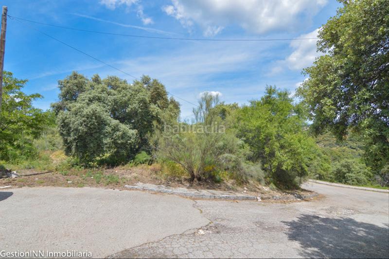 Foto 82233afc-ff13-4e41-b810-7bf891c6ea36. Terreny residencial a Pino Alto-Navarredonda Valdemorillo