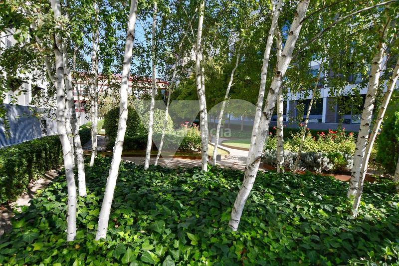 Foto 77dff985-5f6e-4388-a92b-e0e0a41e78f9. Rent office space with heating parking in Simancas Madrid