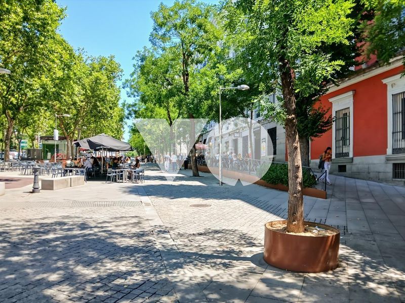 Apartamento piso en venta en calle argensola, chueca, en Madrid - Imagen 15