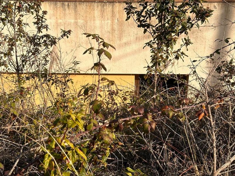 Foto 00576e76-93b5-4898-978b-2a1b382104de. Haus in Montbarbat Maçanet de la Selva