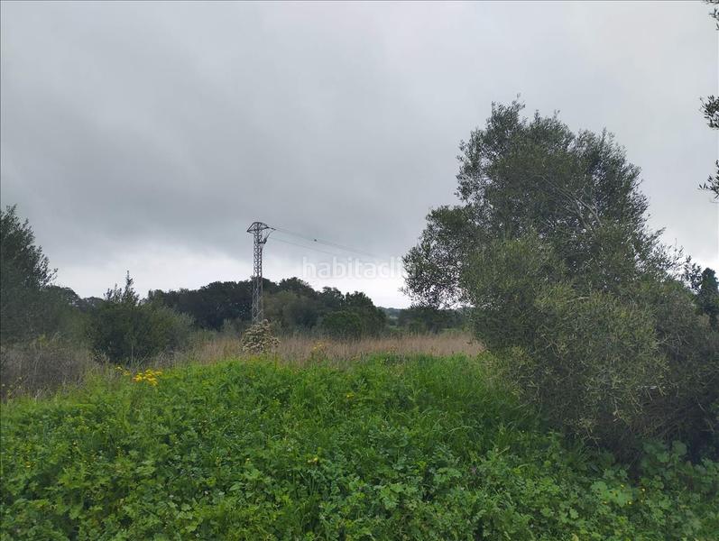 Foto cb631769-d0ca-46f9-9487-ee0b7f7e618b. Terreno residenziale in Piverd-Vila-Seca-Bruguerol Palafrugell