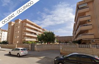 Planta baja  Calle mallorca. Piso planta baja ocupado 2 habitaciones, piscina comunitaria, en