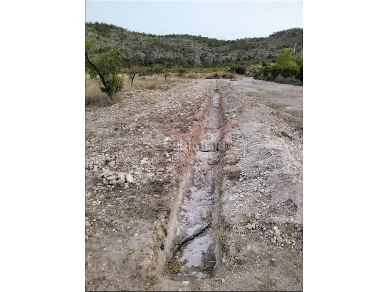 Foto 69301b3d-c6a9-40dc-aa57-7597dcd5e874. Fondo rustico in Salinas