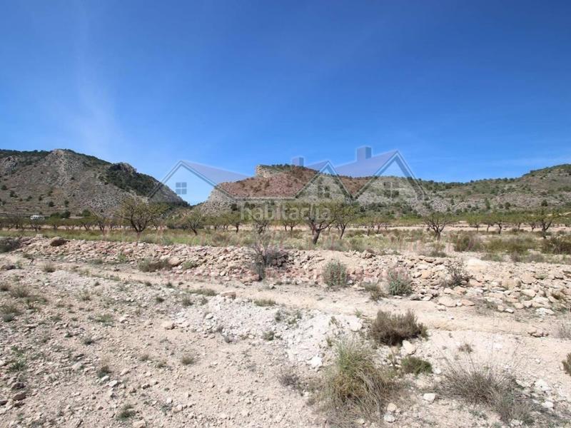 Foto da86c17f-d88c-4e06-a445-7e17dbf6433c. Fondo rustico in Salinas