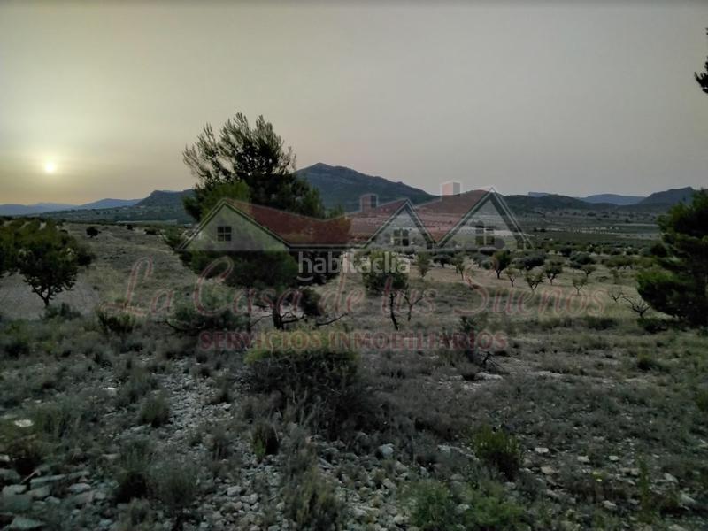 Foto f809ff6e-388a-452b-9a02-677dc8468fc9. Fondo rustico in Salinas