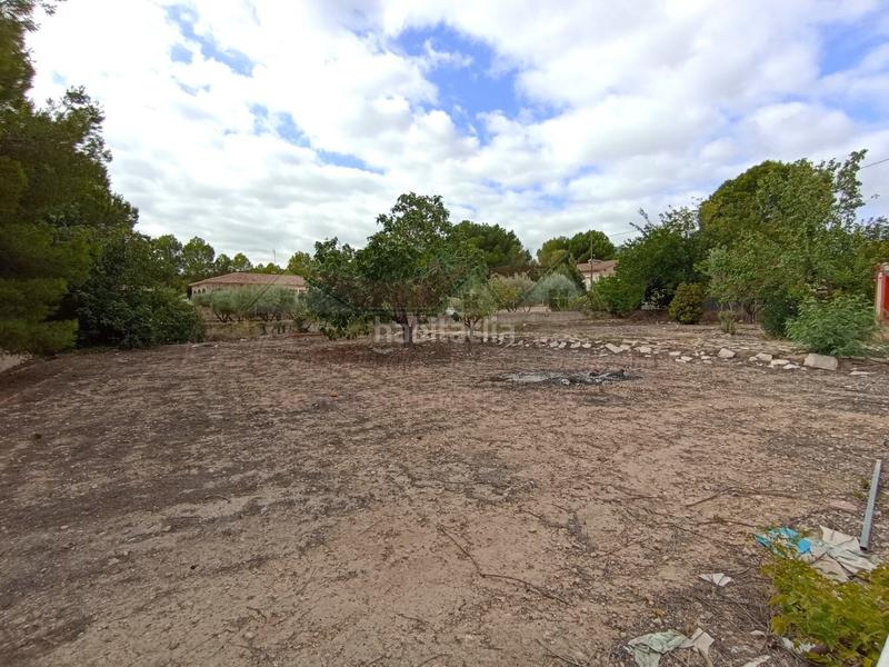 Foto c372f7f4-f30c-4c75-a21f-fbbc6d957fe5. Masía campo en Sax