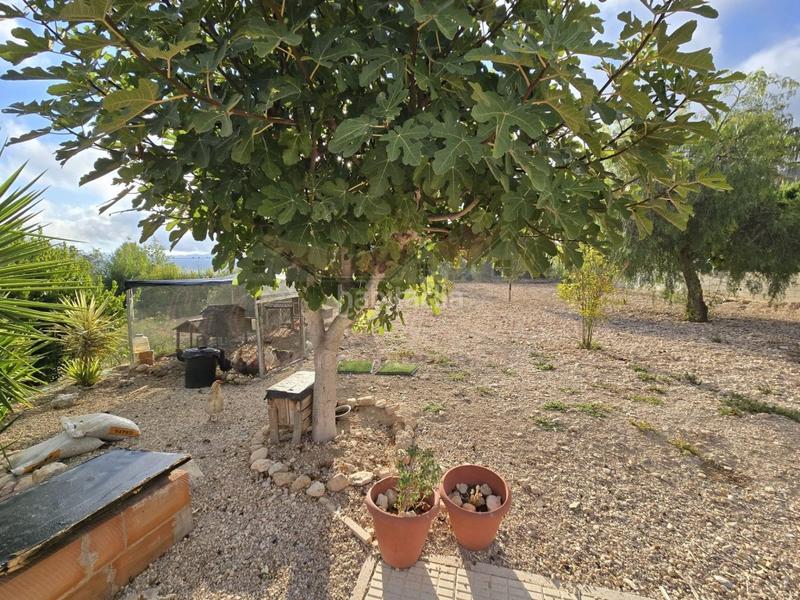 Foto bdf59d41-6da1-4261-8460-febc5a63d5ff. Casa con piscina in Sax