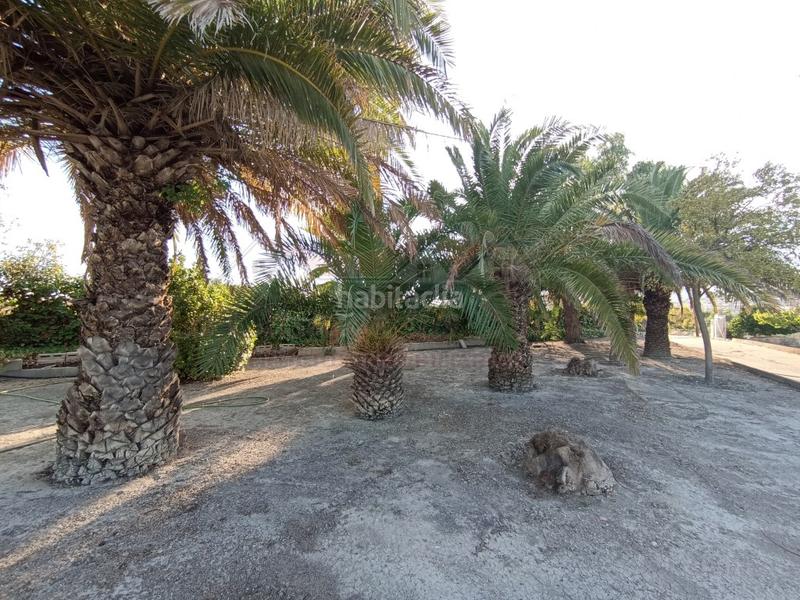 Foto 4e05212b-bffb-4512-8af6-9f18834c536e. Casa amb aparcament a Sax