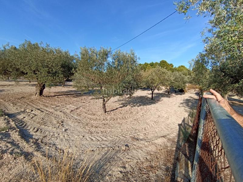 Foto 633c0be4-a3a0-4a27-8dce-8399bdff4199. Casa amb aparcament a Sax