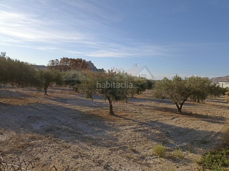 Foto 7a6e6808-4ac6-4095-8e4f-3394477a4cb3. Casa amb aparcament a Sax