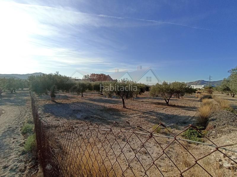 Foto ce6bb4ee-297b-4b81-83cb-d3516a0a3432. Casa amb aparcament a Sax