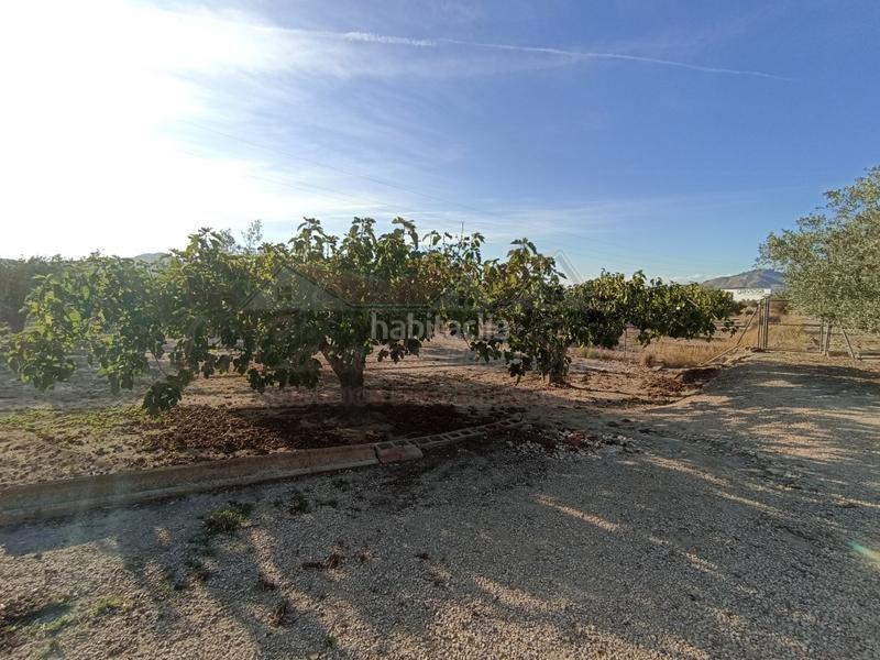 Foto f0445dcc-f91e-4d76-87fc-8b5ddfa49d76. Casa amb aparcament a Sax