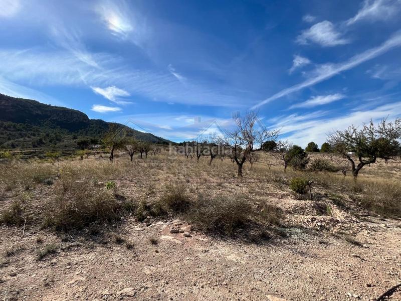 Foto 68833a46-1f30-487c-84e7-eec9e7b768a8. Casa finca rustica para reformar en camara en San Crispín-Huerta Nueva-Estación Elda