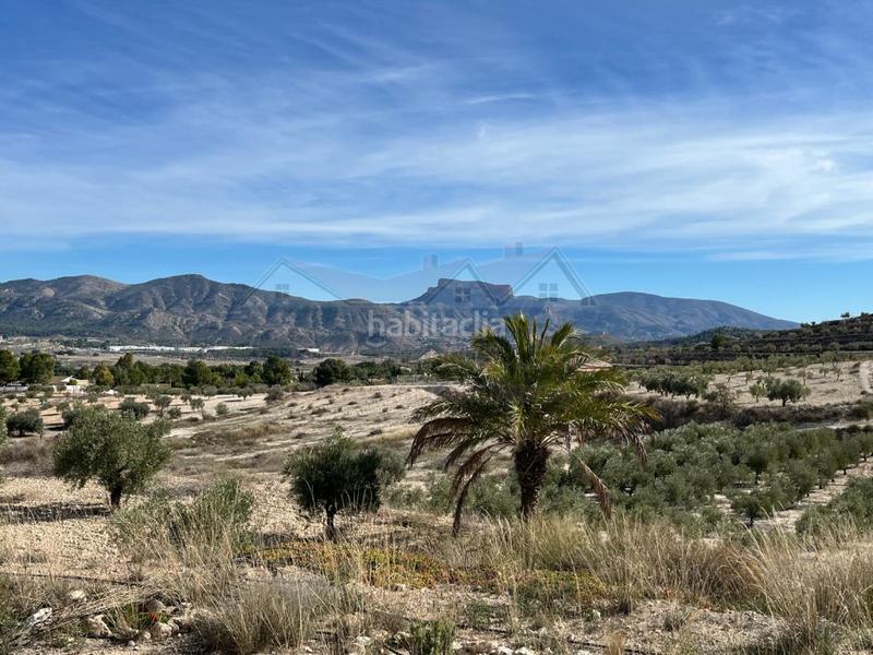 Foto d17d5289-c730-48d3-a40c-63e531a26308. Casa finca rustica para reformar en camara en San Crispín-Huerta Nueva-Estación Elda