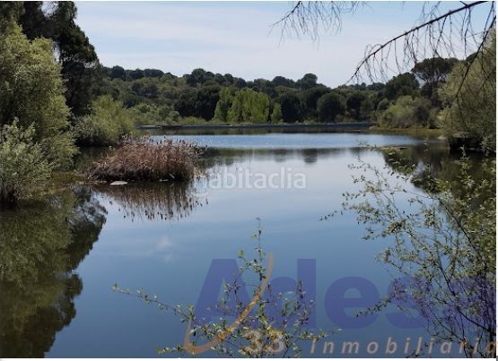 Foto 47f68369-a848-4383-ac34-11126ac0a10a. Xalet amb calefacció aparcament piscina a Almorox