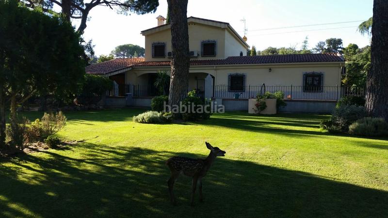 Foto b6a9f89c-9255-4767-9333-af8cd2caf6bb. Masía finca de 20.700m2, con casa propia y casa para guárdese, árboles centenarios, puerta de acceso automática, entrada directa desdec en Navalcarnero