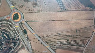 Finca rústica  Barrio cuevas. Parcela pinoso.  124.839 m2.  precio 50.000 euros.