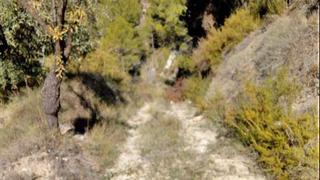 Rural plot in Penàguila. Penaguila, venta de 4 parcelas rústicas. precio 40.095 euros