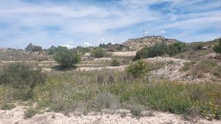 Finca rústica a Pedanías Este. Aspe terreno rústico. cerca polígono 3 hermanas.  51.812 m2. pre
