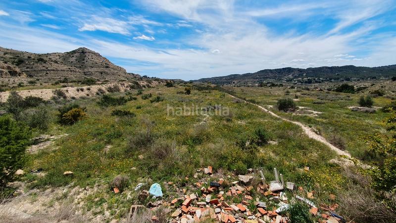 Foto 09a4e65b-acb2-4f33-aea9-1b3738ee2980. Finca rústica terreno rústico. cerca polígono 3 hermanas. 51.812 m2. precio 52.000 euros en Aspe