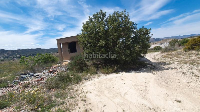 Foto 6d4c7f3a-1c1d-46d7-94cb-bbda9d79acee. Finca rústica terreno rústico. cerca polígono 3 hermanas. 51.812 m2. precio 52.000 euros en Aspe