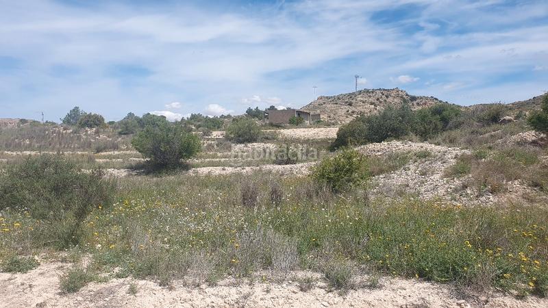 Foto 7dc80789-63d1-41ea-9ae4-73dfa832430e. Finca rústica terreno rústico. cerca polígono 3 hermanas. 51.812 m2. precio 52.000 euros en Aspe