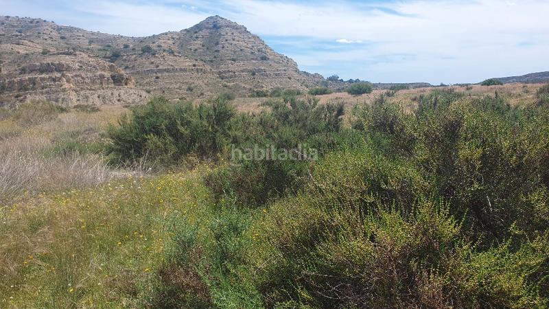 Foto 895b2bed-cf29-45b5-92f6-bd68f805432e. Finca rústica terreno rústico. cerca polígono 3 hermanas. 51.812 m2. precio 52.000 euros en Aspe