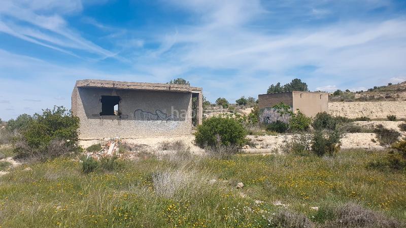 Foto b770f797-2db8-4f57-aac5-d178df471c1e. Finca rústica terreno rústico. cerca polígono 3 hermanas. 51.812 m2. precio 52.000 euros en Aspe