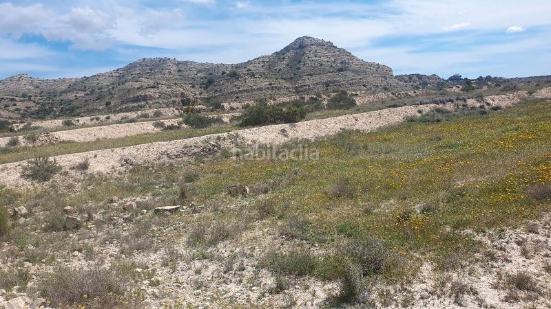 Foto c51e4bd1-fa41-45cf-8ba5-f3c22fbac0a3. Finca rústica terreno rústico. cerca polígono 3 hermanas. 51.812 m2. precio 52.000 euros en Aspe