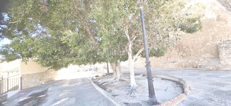 Foto f4f7d0b4-a72e-40f7-99fb-38fb0c31b068. Pis a Monforte del Cid