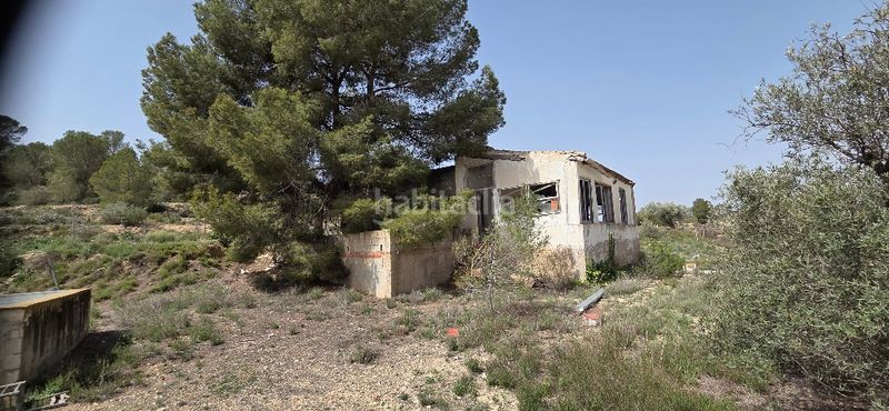 Foto 49dd95ba-71b4-4649-ae41-124902568b25. Xalet amb xemeneia piscina a Pinoso